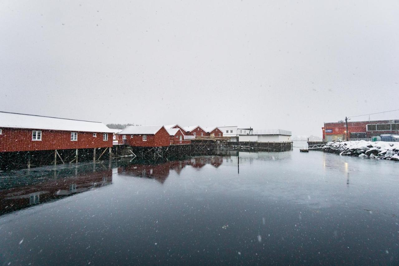 Lofoten Cabin And Kayak Rental Stamsund Ngoại thất bức ảnh
