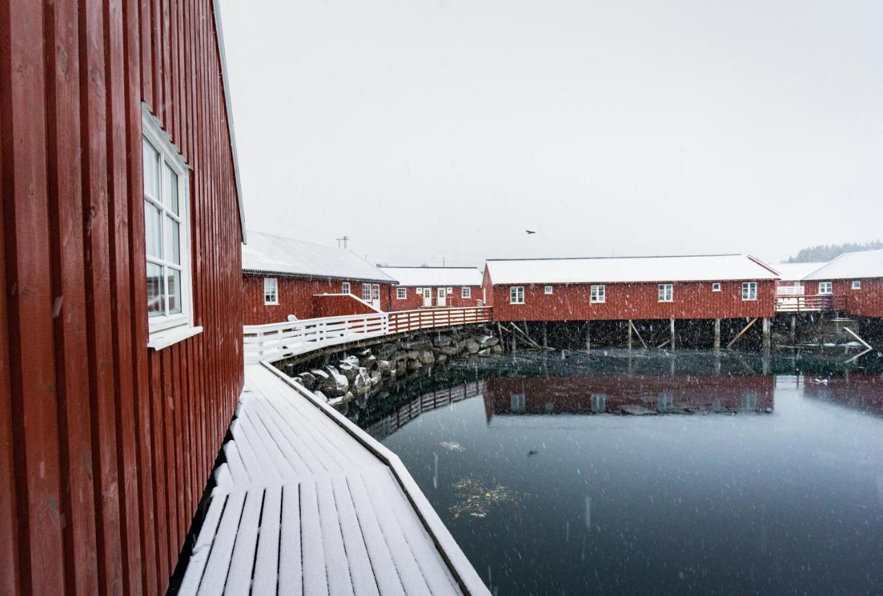 Lofoten Cabin And Kayak Rental Stamsund Ngoại thất bức ảnh