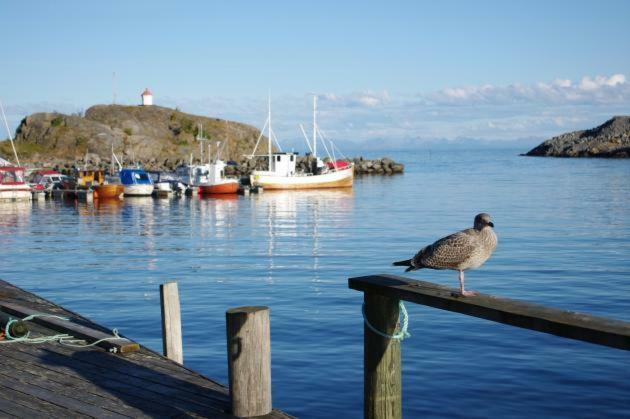 Lofoten Cabin And Kayak Rental Stamsund Ngoại thất bức ảnh